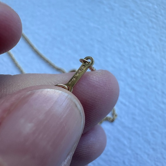 Tiffany & Co.' Paloma Picasso Olive Leaf Amethyst Necklace - Picture 7 of 8